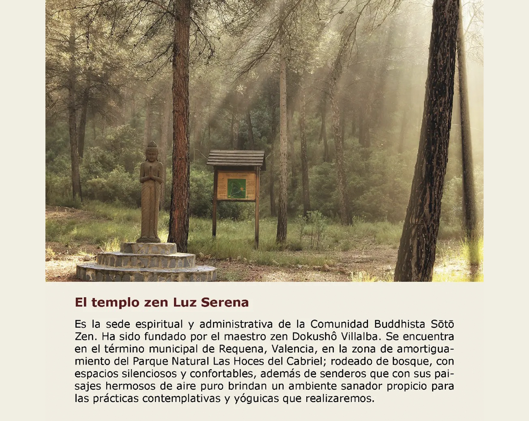 Retiro de Yoga Zen en Valencia